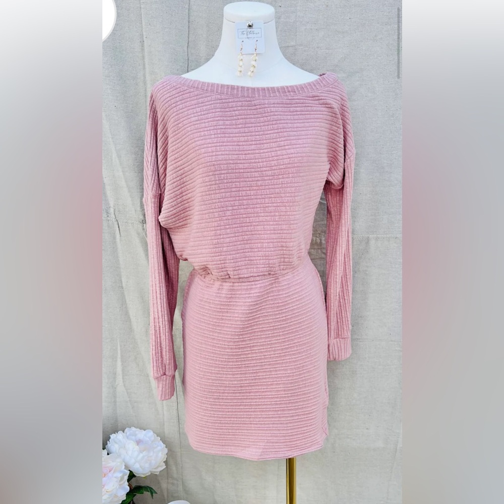 NWT S Kori Blush Long Sleeve Knit Dress